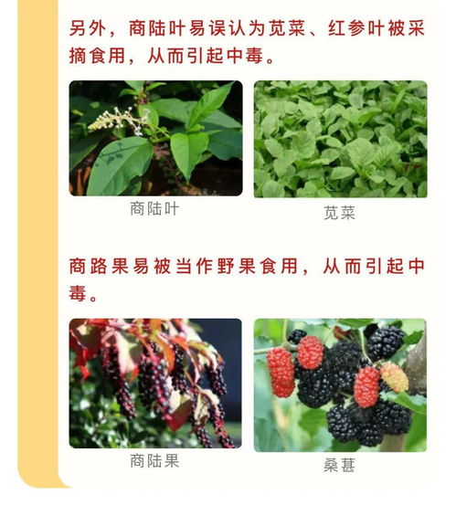 再说说说句掏心窝的话：