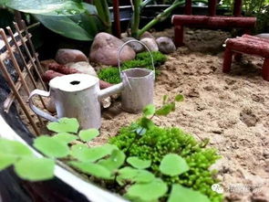 沙土种植，多样化是关键