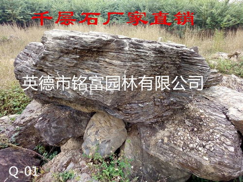 四、 买千层石假山，要注意啥