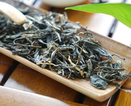 普洱茶生茶与熟茶有何不同？它们在口感、功效上有哪些差异