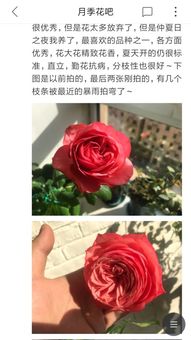 缺点与适用场景