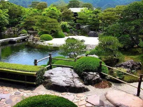 减轻污染：园林树木的守护者