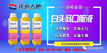 效果怎么样？看看我种的菜就知道了