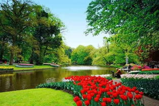 公园里的花花草草，你认识几种？