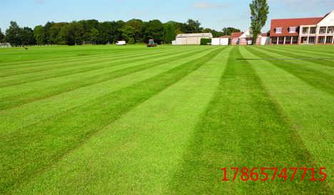 边坡绿化，植物得有这几个条件