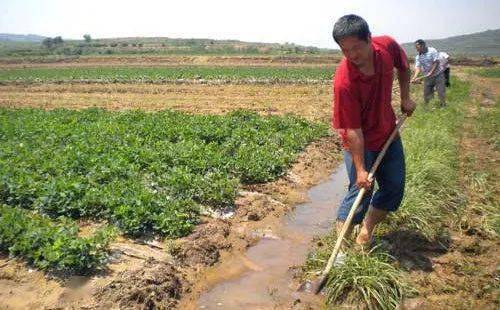 新手必堪避坑指南
