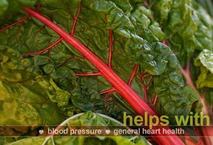 紫苏：千年老菜， 多才多艺