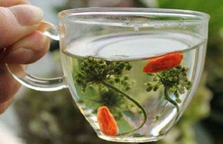 不同季节的油茶种子泡水时间