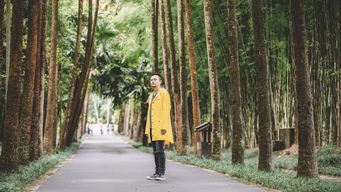 论坛攻略：树荫种草的困难与对策