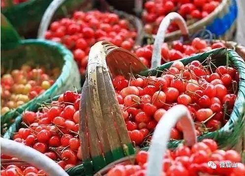 早樱与晚樱：成熟时间的不同魅力