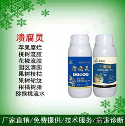 乙草胺的使用注意事项