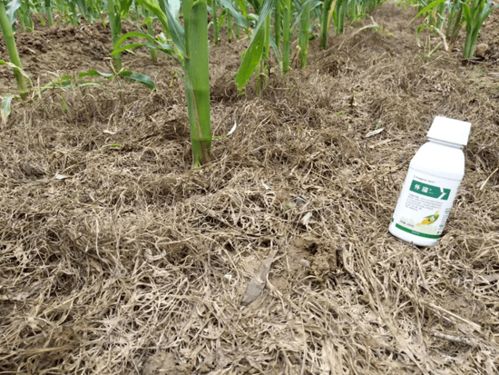 效果到底怎么样？