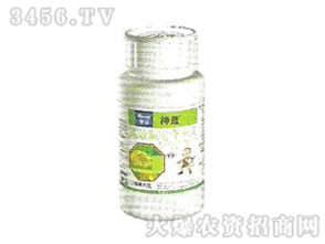 对小麦的药害症状