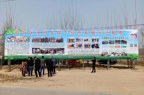 开封祥符区胡萝卜交易市场繁荣，成为当地农民增收的重要途径