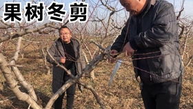 广西田园农药第一款成分揭秘：揭秘真相，kan这里！