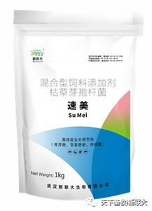 揭秘黄瓜种植：高效生长调节剂大揭秘！