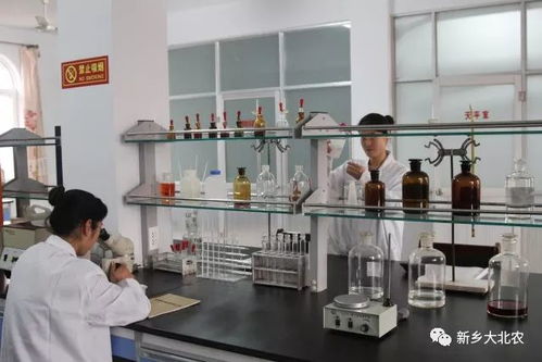 国家饲料工程技术研究中心提供的实验动物饲料，其营养成分配比是否满足特定实验需求？