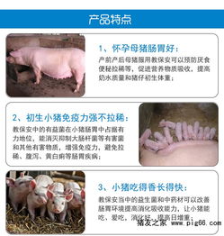 小猪拉黄痢用哪种抗生素最有效？不同药物对比及科学防治方案有哪些？
