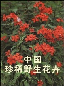 中国稀有花卉的宝库