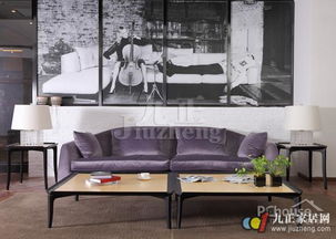 客厅植物摆放风水知识