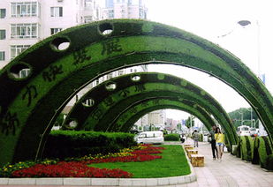 绿化工程用苗选购要点：前期注意事项与品种规格选择