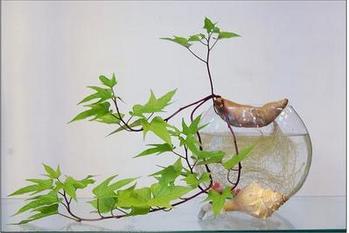 容器选择有讲究