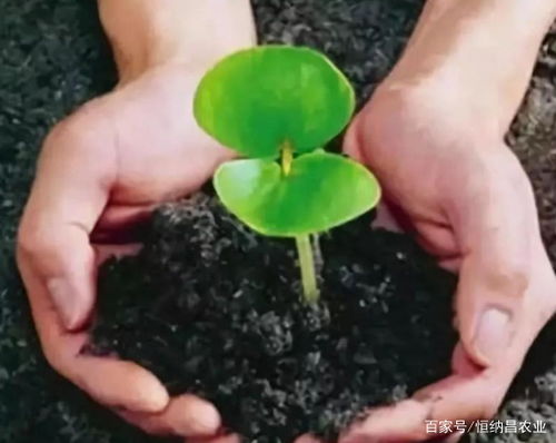 蒸汽消毒， 蒸走细菌