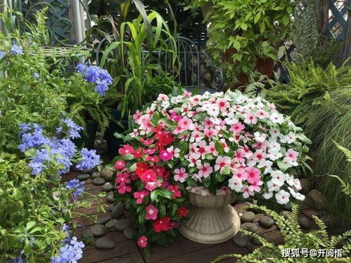 养护费嫩省30%吗？