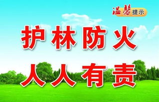 使用方法要得当