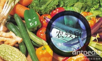 农药残留期与平安