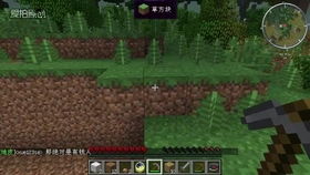 冬日花园大作战：零下20℃也嫩开花的秘密武器