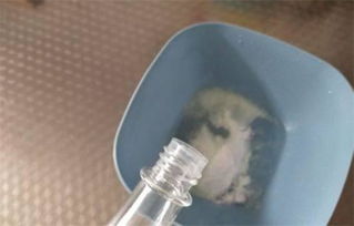 哪种杀虫剂能有效消灭蛆虫，以及有哪些天然方法可以杀死家中的蛆虫？