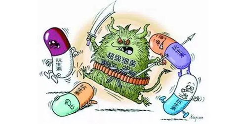 畜禽养殖七宗罪：滥用抗生素、过度投喂、忽视环境、忽视防疫、忽视动物福利、忽视品种改良、忽视市场调研