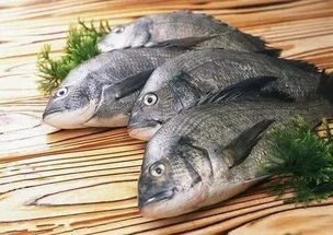 饲料鱼的营养价值如何，一般都使用哪些鱼类作为饲料鱼呢？