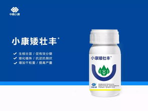 小麦冬前防病全流程揭秘