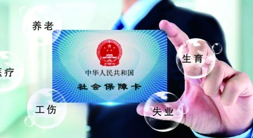 农药费用哪家强？