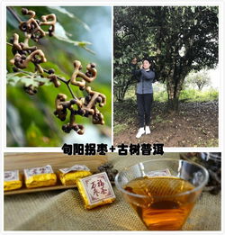 拐枣茶，以拐枣为原料
