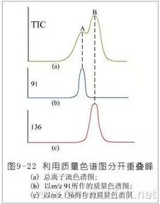 第二步：掌握检测方法