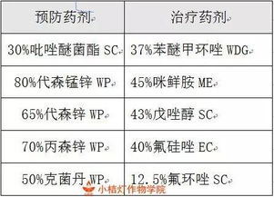 血泪教训：低价假货的代价