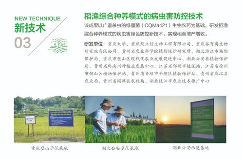 农药招标，哪种农药适合防治水稻病虫害？