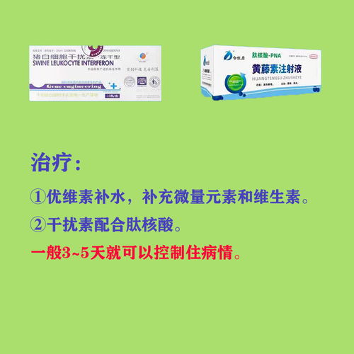 猪流行性腹泻病毒如何诊断及防控，有哪些预防措施和防治策略？