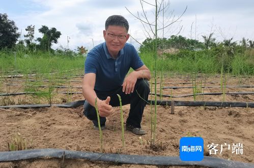 盐碱地上的生命之花