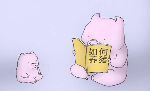 炎夏自然养猪法：绿色安全养殖新理念