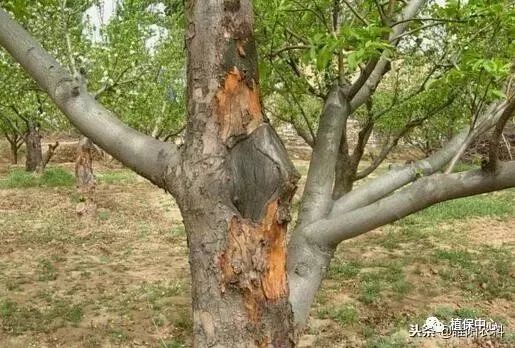 使用方法，得注意哦