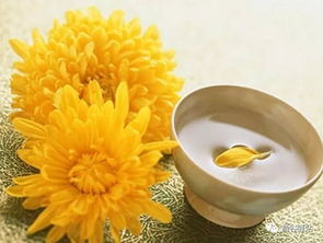 俗话说“八月桂花遍地开”， 八月指的是农历八月，对应公历大概在9-10月份，所yi有“