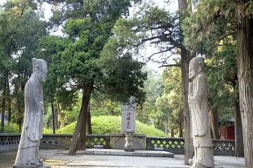 梅花在坟墓周围种植