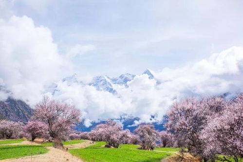 成本和政策，价格波动的原因