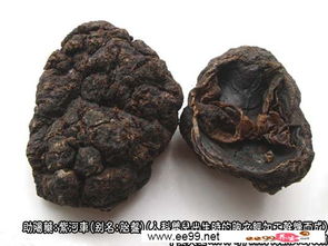 紫河车：古代珍贵药材