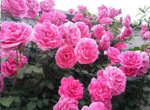 牵引角度， 保持合理距离