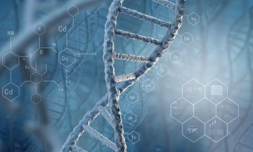 研究方法，探寻Zui佳方案